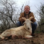 Dall%20sheep%20hunting%20in%20texas