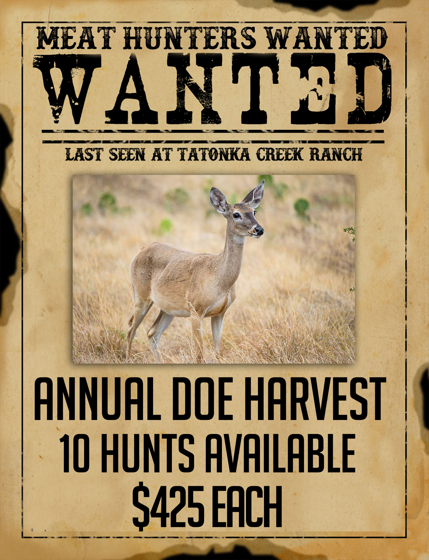 whitetail doe hunts in benavides texas