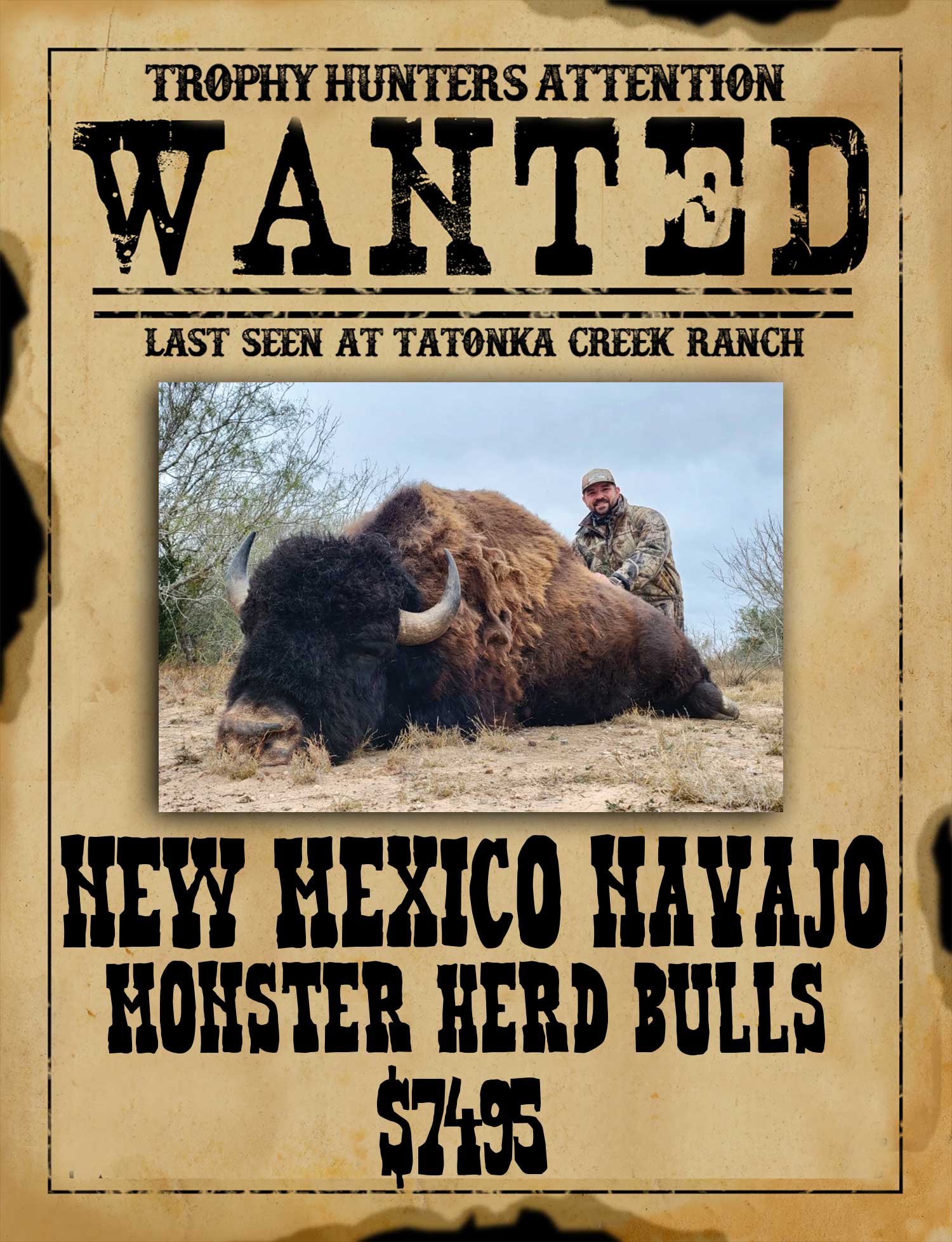 monster bison hunt in south texas