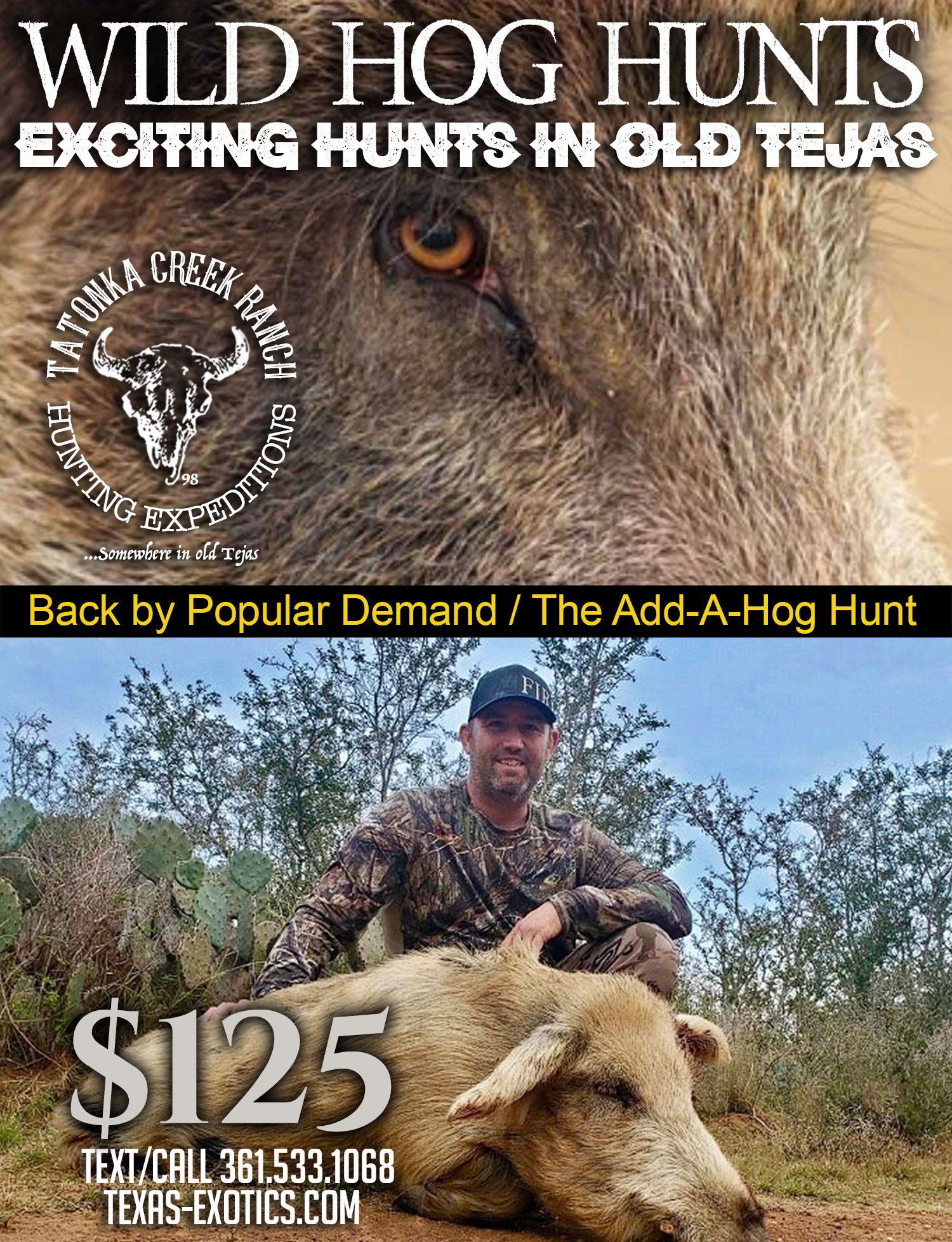 trophy boar hunts in south texas