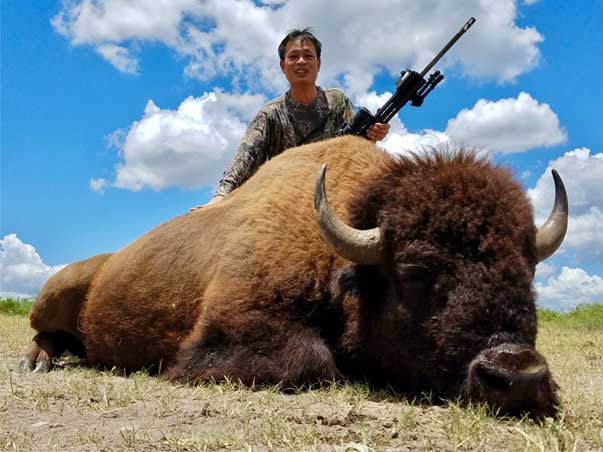 trophy bison hunt in south texas