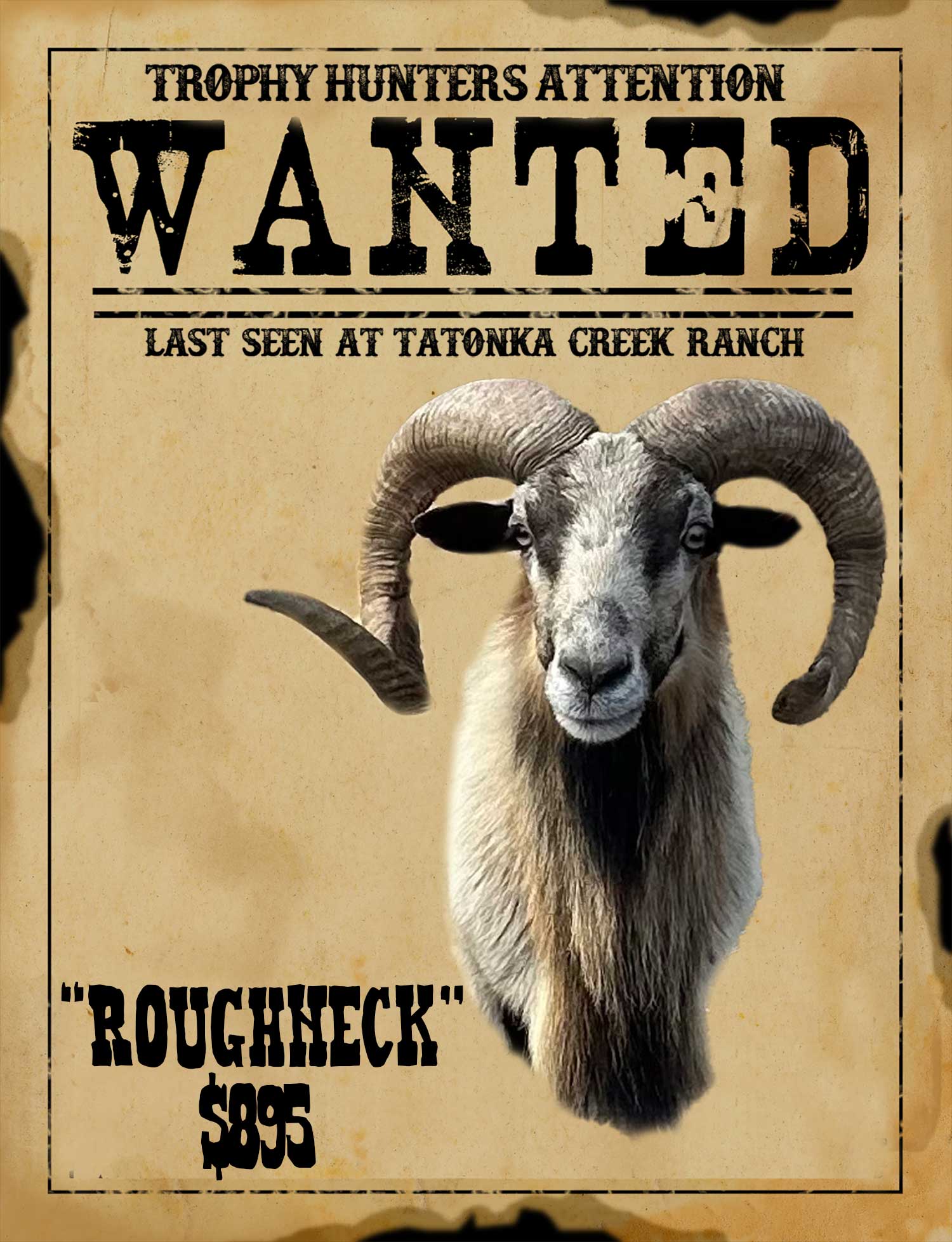 discount ram hunt in south texas