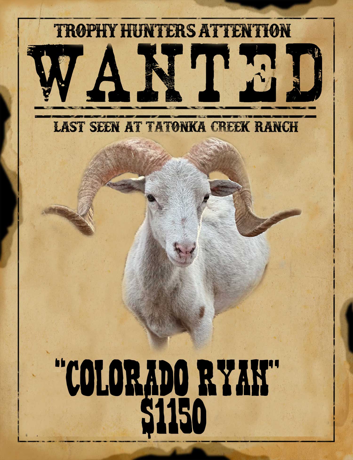 trophy class tx dall ram hunt in south texas