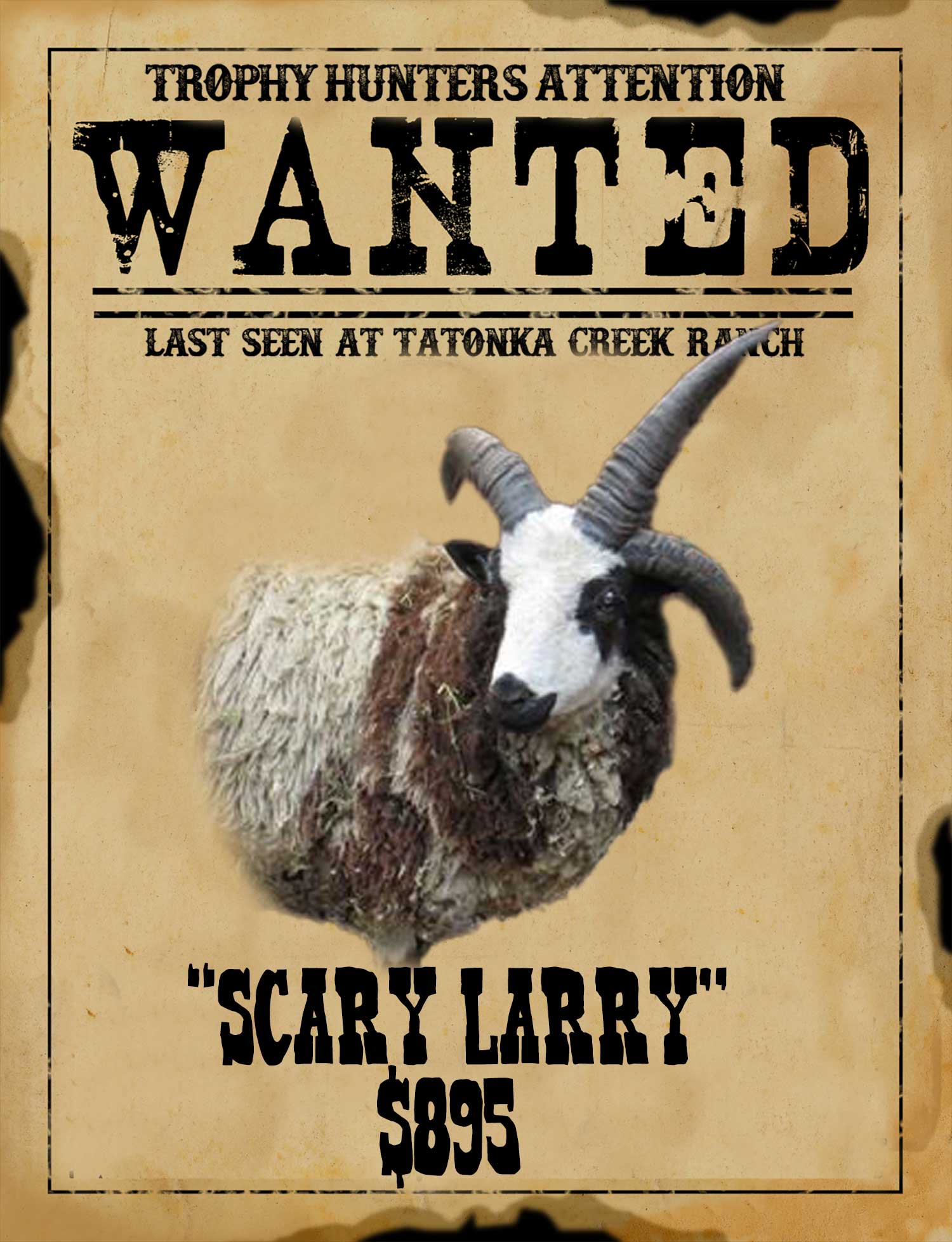 record book 4 horn ram