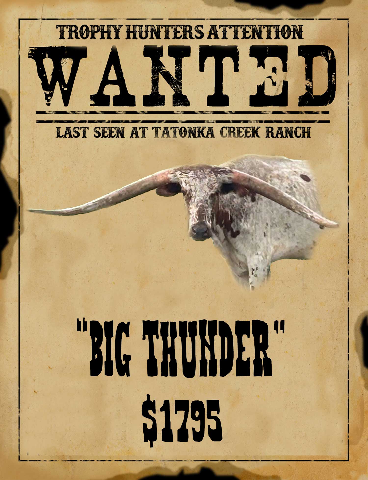 big-thunder monster watusi hunt in south texas