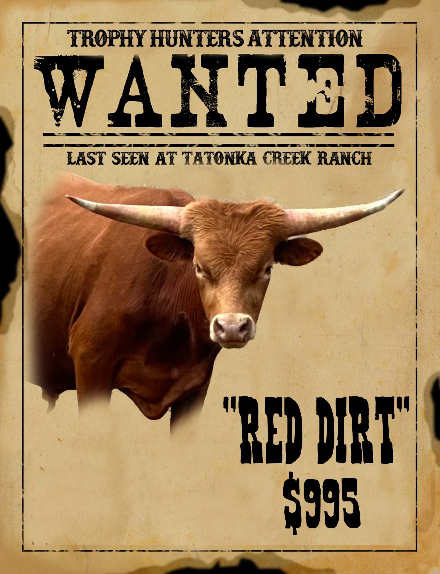 red-dirt watusi meat hunt in south texas
