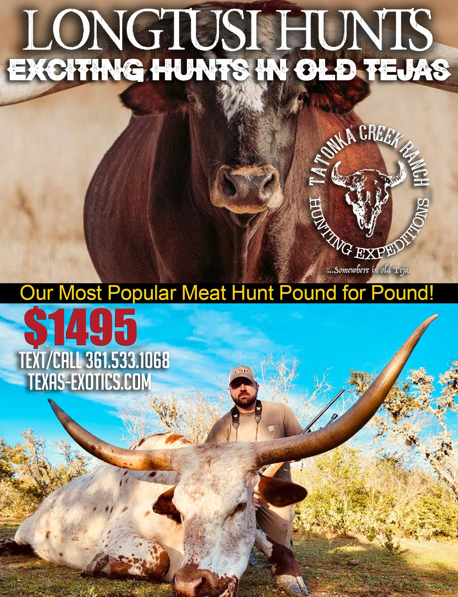 Longtusi hunts in south texas