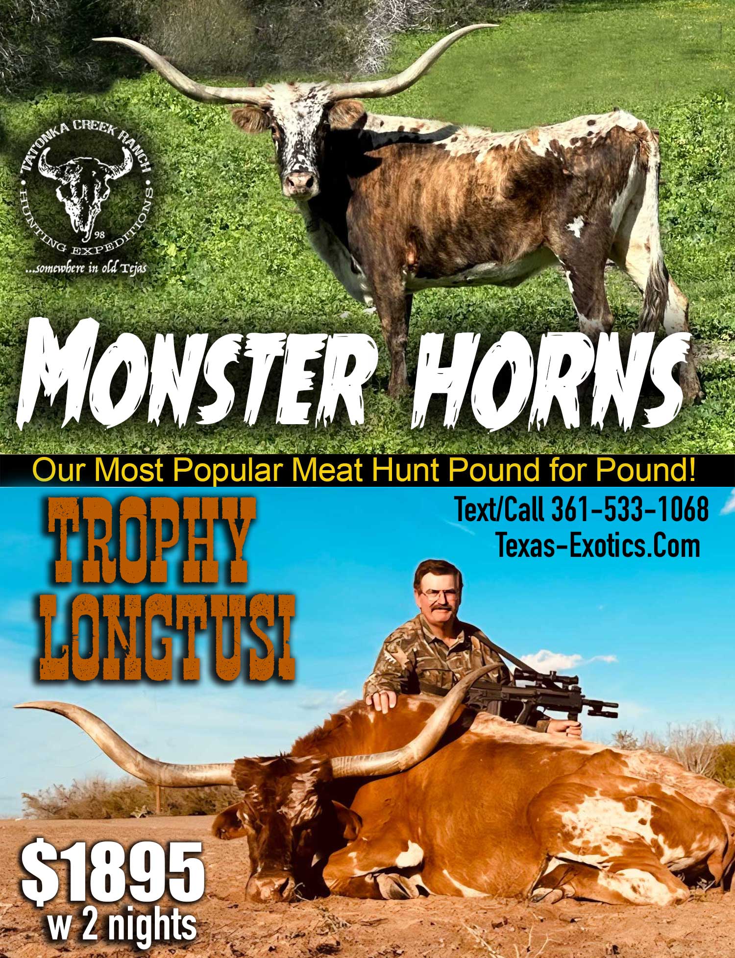 trophy longtusi hunts in south texas