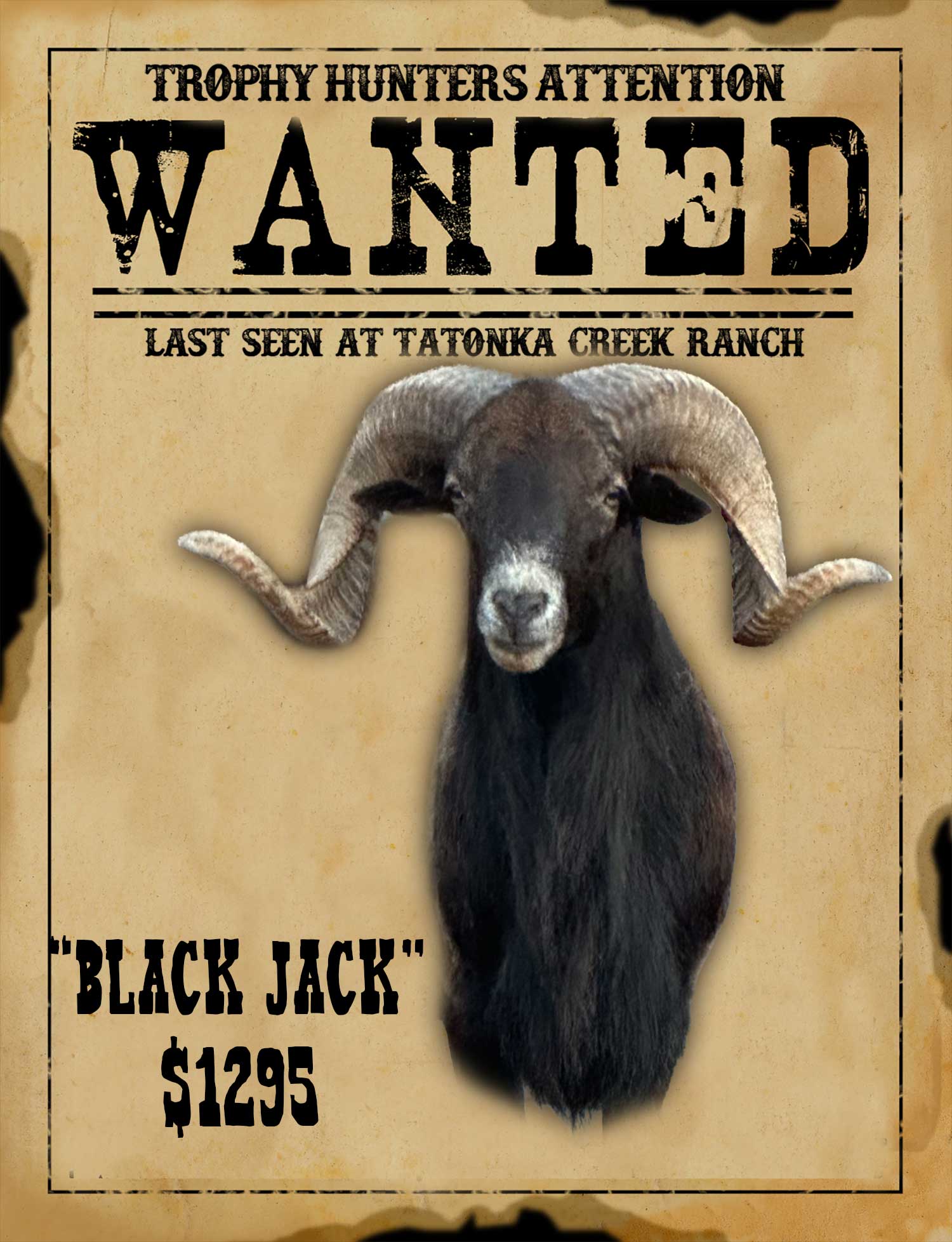 record book hawaiian ramm hunt in south texas