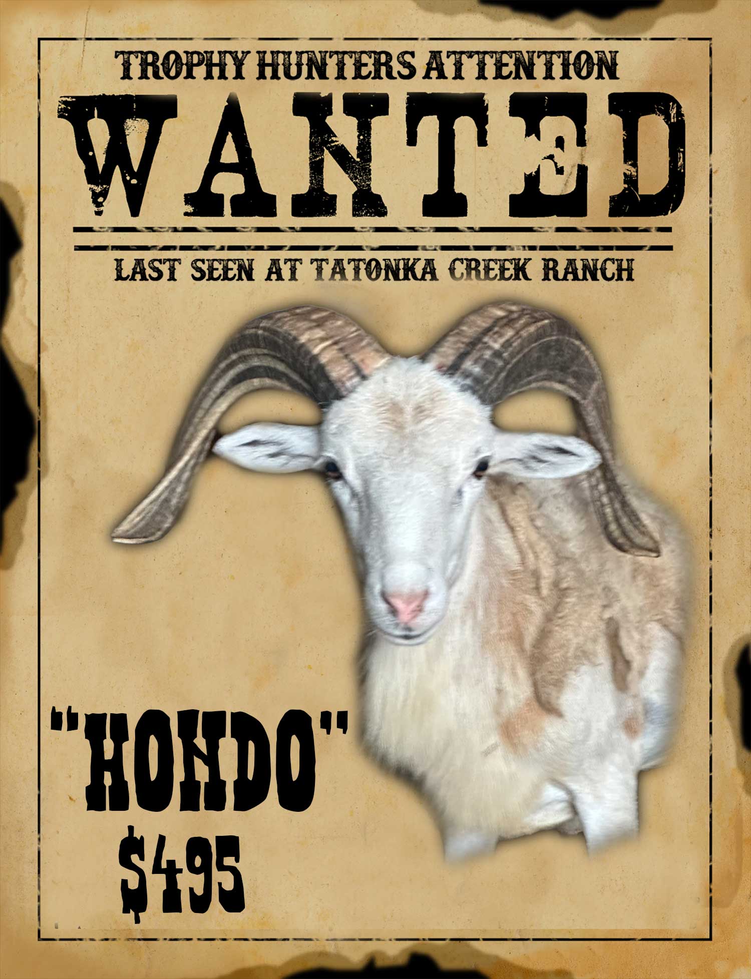 hondo