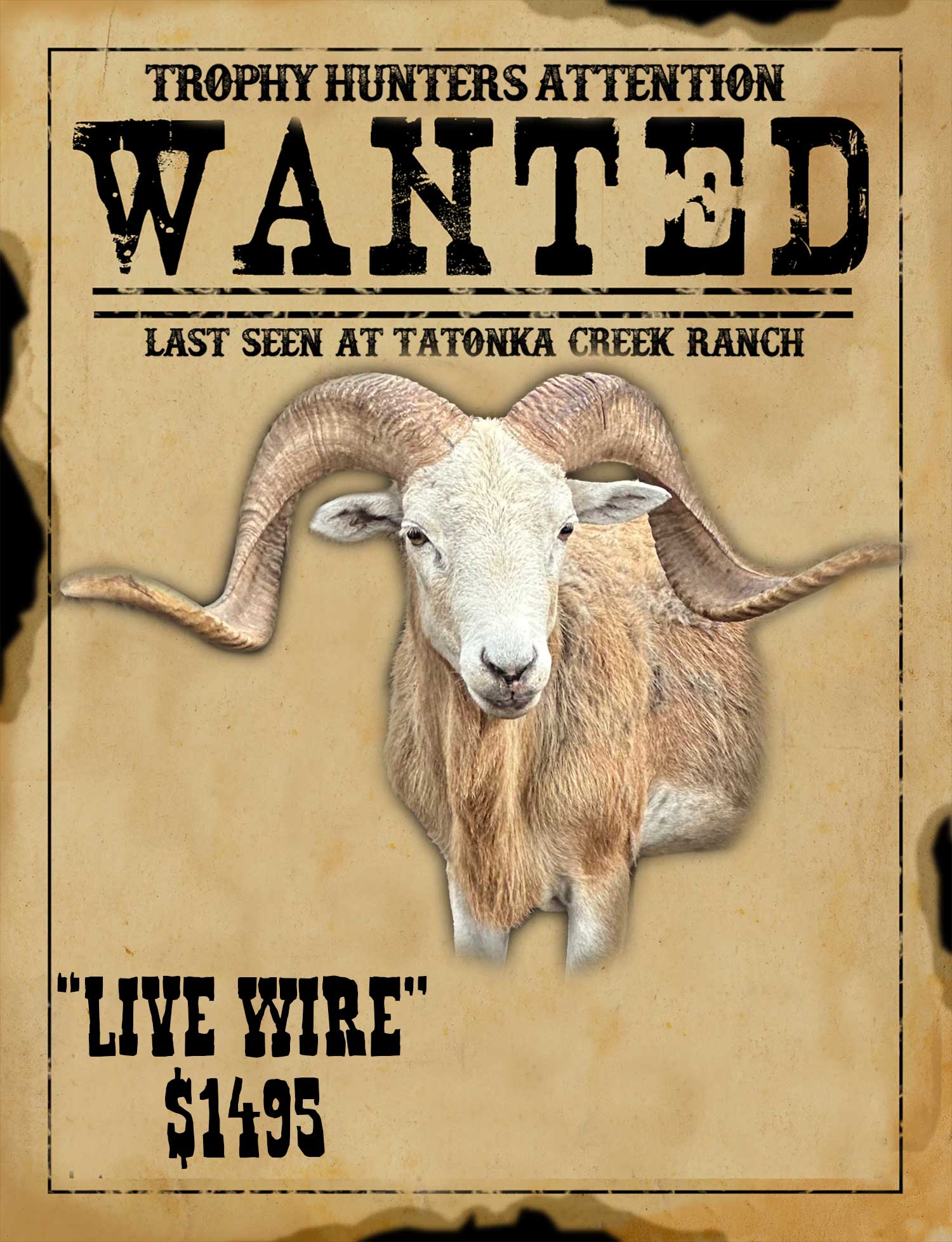 record book dall ram hunt in south texas