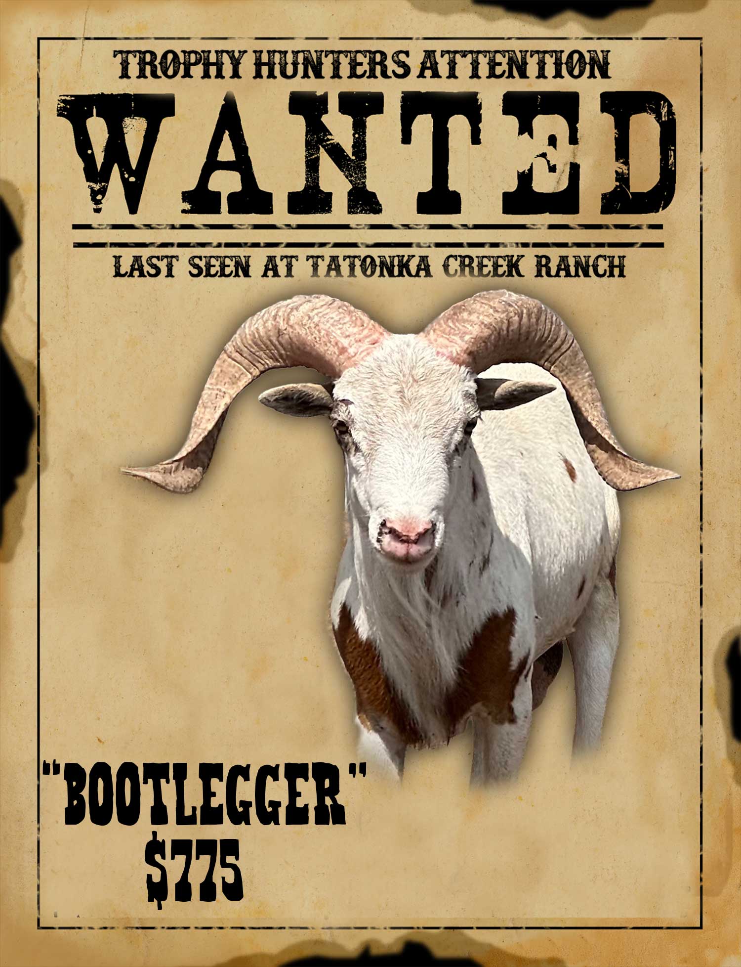 bootlegger