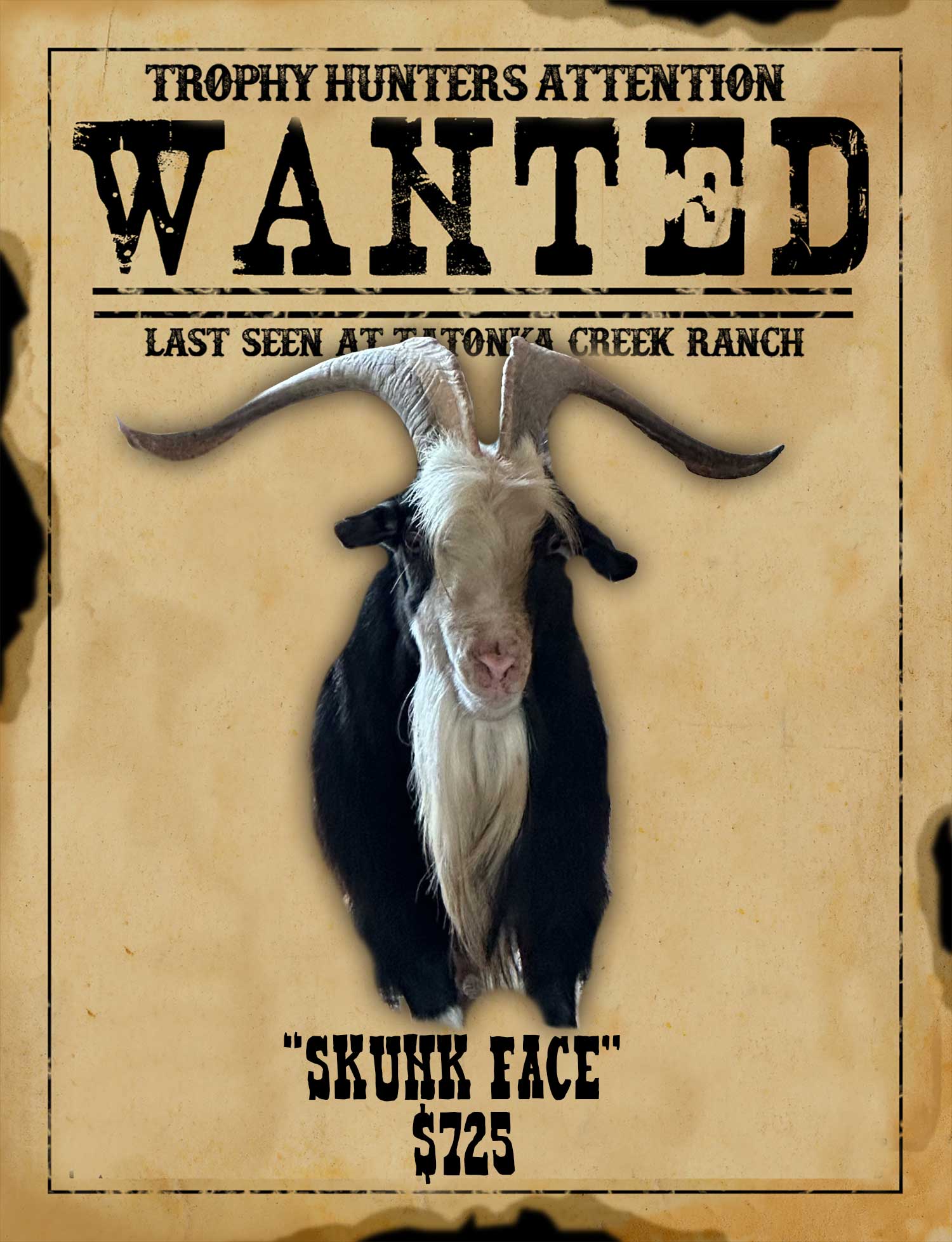 record book catalina goat hunt