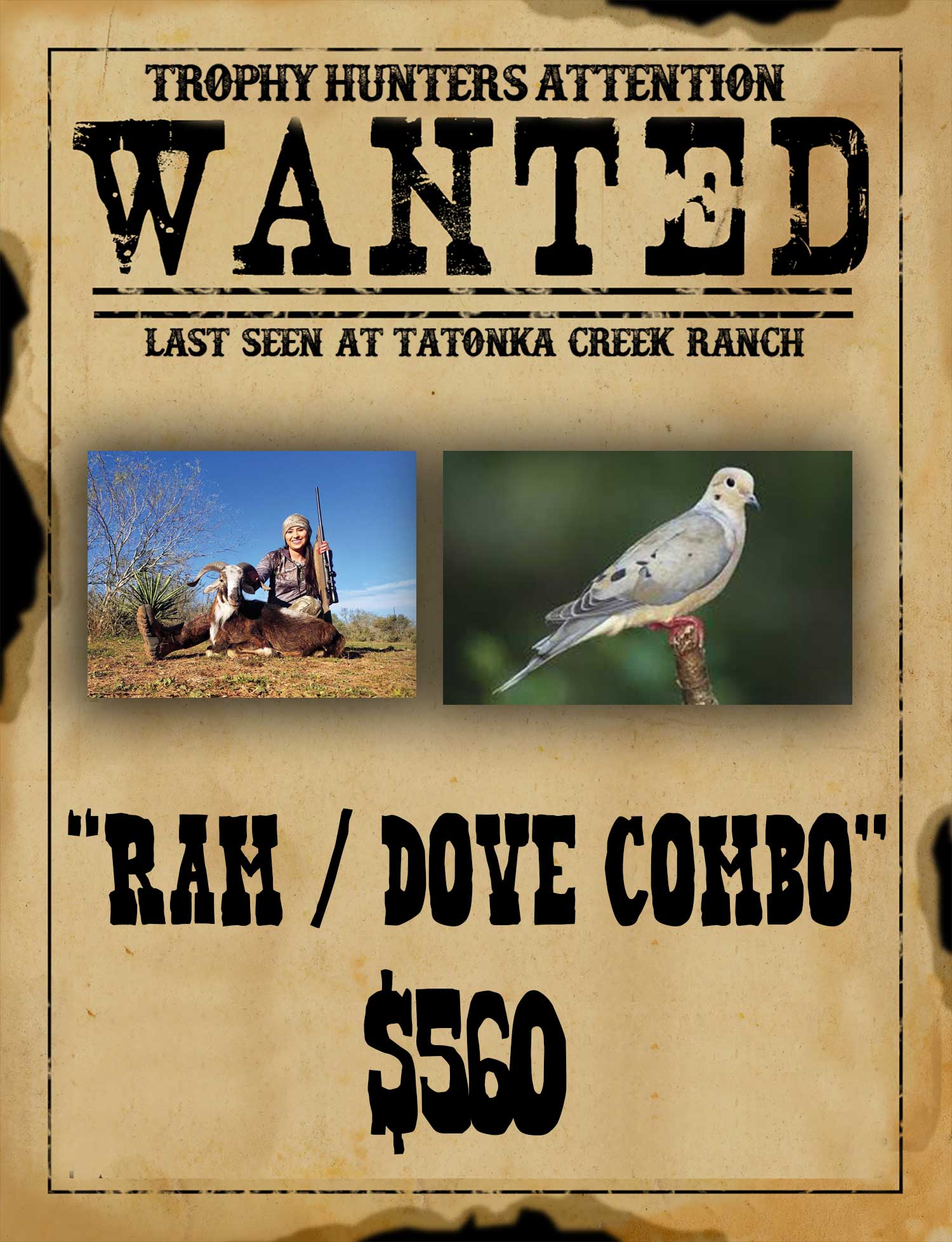south texas dove hunting