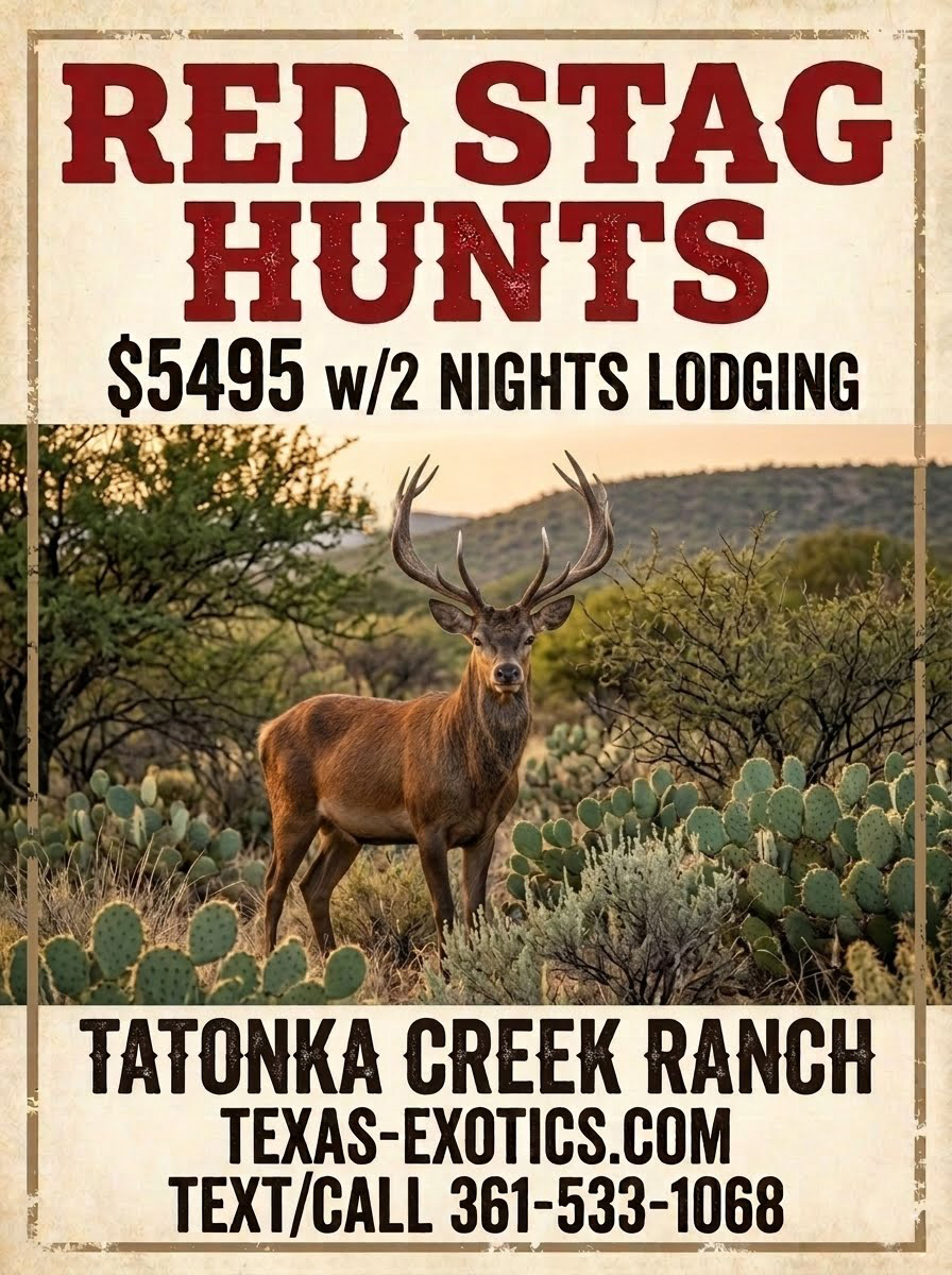 trophy red stag hunts in south texas