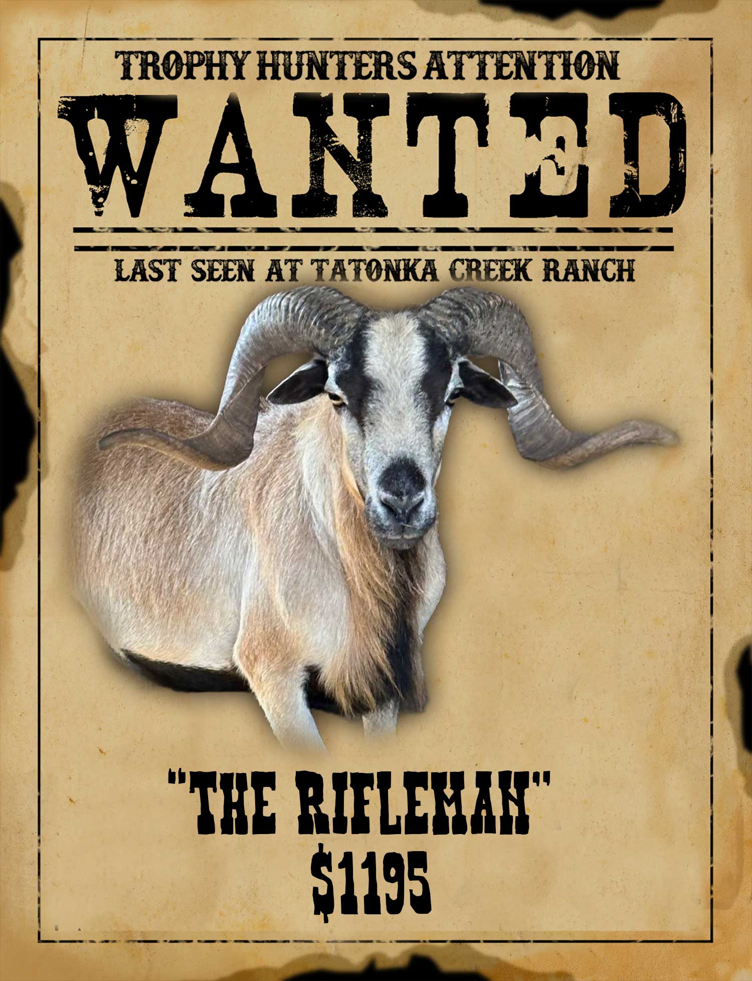 RECORD BOOK BIGHORN RAM HUNT IN SOUTH TEXAS