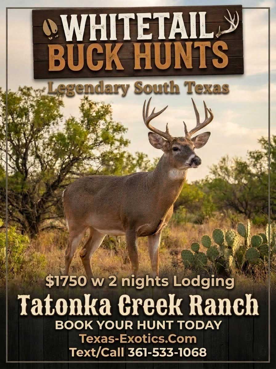 trophy whitetail hunts in south texas